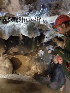 Sčítání netopýrů Na Špičáku, únor 2023