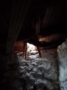 Odstraňování spadlého stromu u Špičáku, 28. 11. 2024