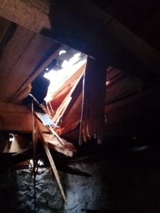 Odstraňování spadlého stromu u Špičáku, 28. 11. 2024