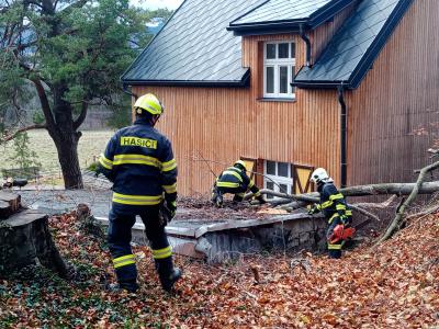 Odstraňování spadlého stromu u Špičáku, 28. 11. 2024
