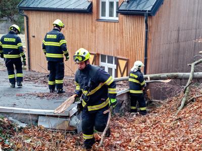 Odstraňování spadlého stromu u Špičáku, 28. 11. 2024