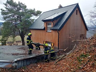 Odstraňování spadlého stromu u Špičáku, 28. 11. 2024