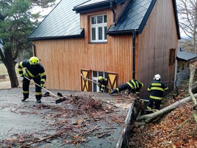 Odstraňování spadlého stromu u Špičáku, 28. 11. 2024