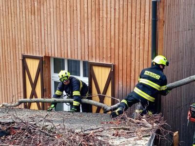 Odstraňování spadlého stromu u Špičáku, 28. 11. 2024
