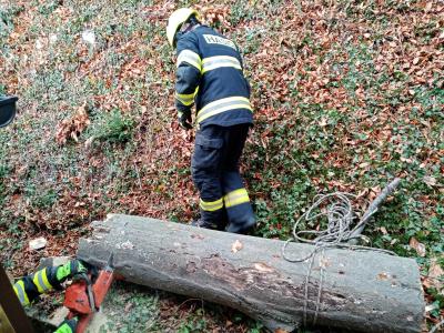 Odstraňování spadlého stromu u Špičáku, 28. 11. 2024