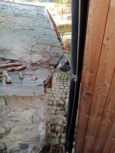 Odstraňování spadlého stromu u Špičáku, 28. 11. 2024