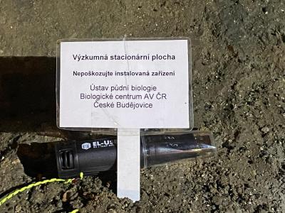 Výzkum bezobratlých v Jeskyni Na Špičáku, únor 2025