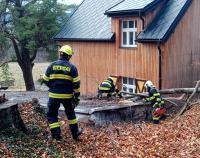 Odstraňování spadlého stromu u Špičáku, 28. 11. 2024